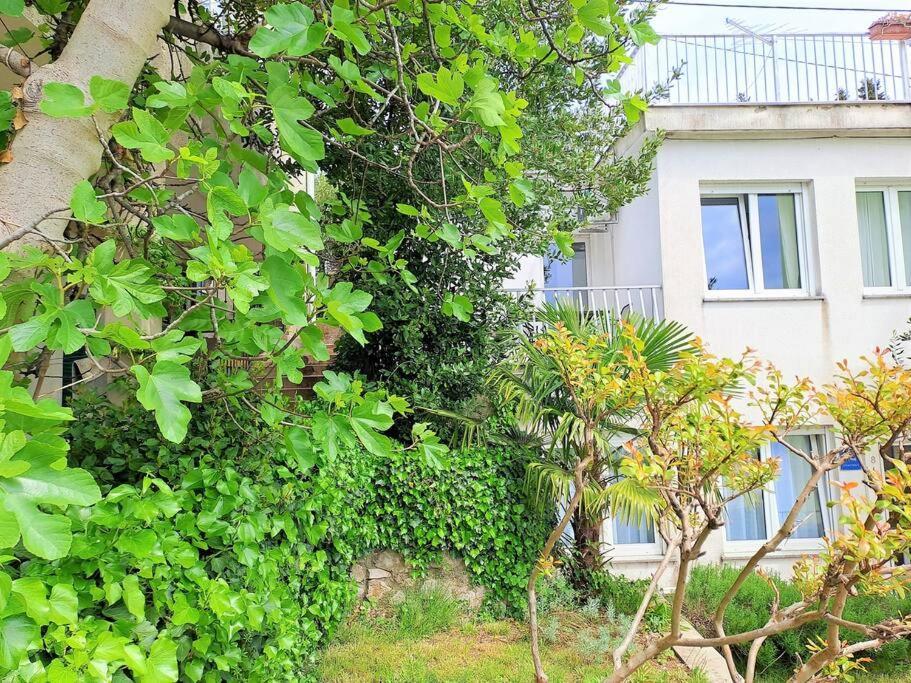 Maslina Trsat With Free Private Parking Fiume